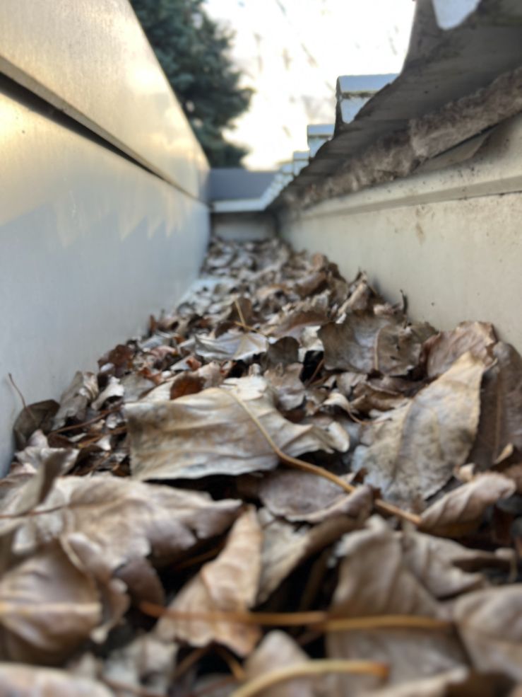 Before photo of a box gutter cleaned by our gutter cleaners in Mornington peninsula